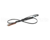 6015244 Daikin-Mcquay Thermistor Assy.