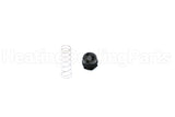 607016 Rheem-Ruud Lp To Nat Gas Valve Spring Kit