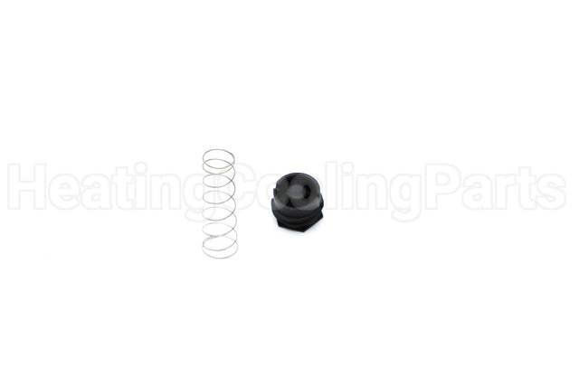607016 Rheem-Ruud Lp To Nat Gas Valve Spring Kit