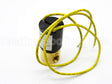 61-25055-08 Rheem-Ruud 24V Solenoid Assembly