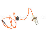 62-24271-02 Rheem-Ruud Dsi Ignitor