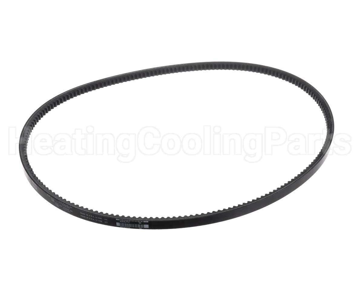 63K05 Lennox Belt (Bx55)