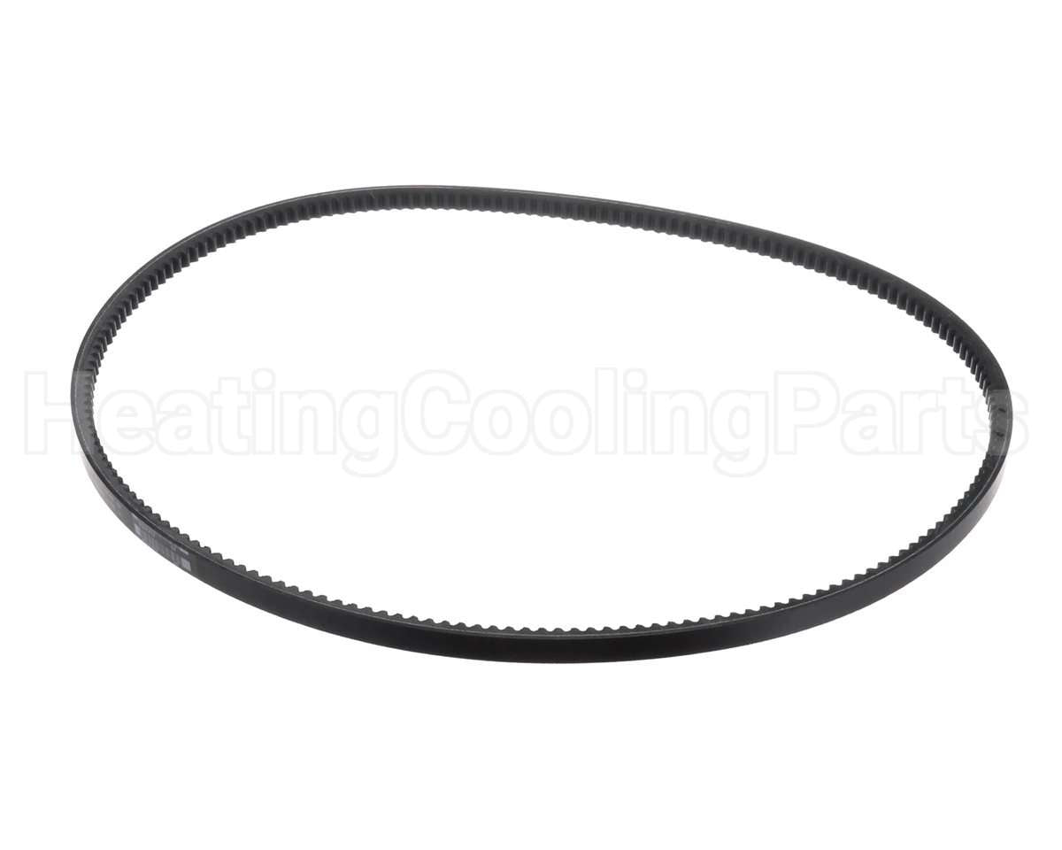 63K05 Lennox Belt (Bx55)