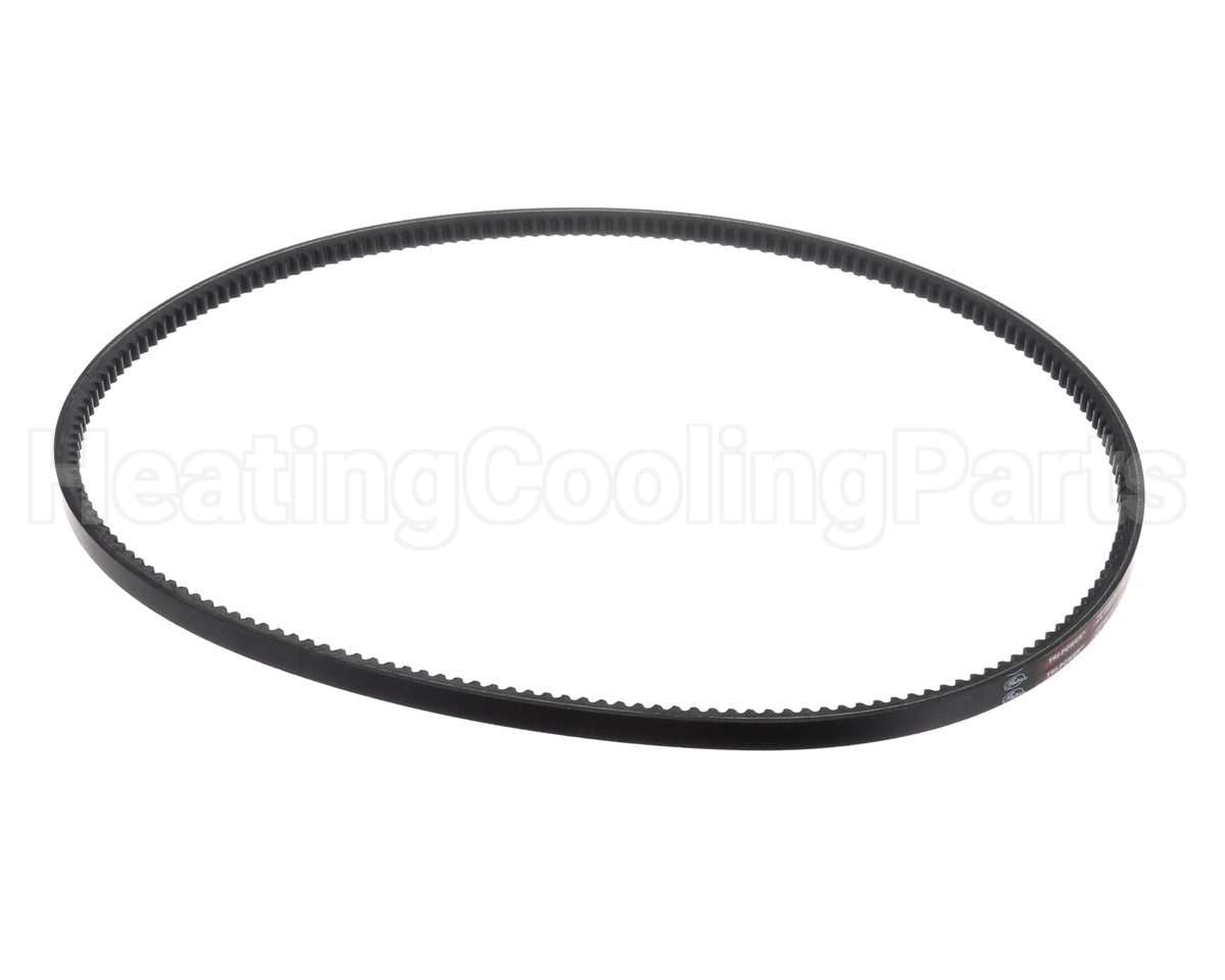 63K05 Lennox Belt (Bx55)