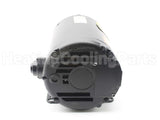 65W34 Lennox 460V3Ph 1Hp 1760Rpm 56Hz Motor