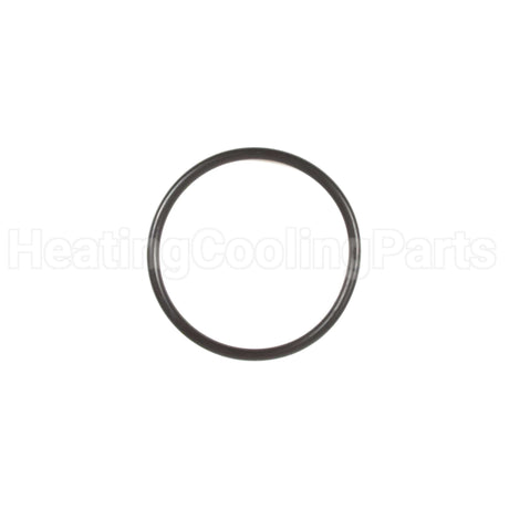 697123 Briggs & Stratton Seal-O Ring