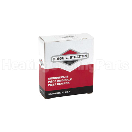 697683 Briggs & Stratton Ring Set-Std