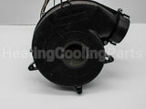70-102691-81 Rheem-Ruud 120V Induced Draft Blwr W/Gskt