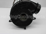 70-102691-81 Rheem-Ruud 120V Induced Draft Blwr W/Gskt