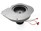 70-23641-86 Rheem-Ruud Induced Draft Blower W/Gasket