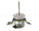 70556311 International Environmental 1/5Hp 277V 1075Rpm 1/2Amps