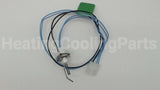 70L55 Lennox Ignitor Assembly