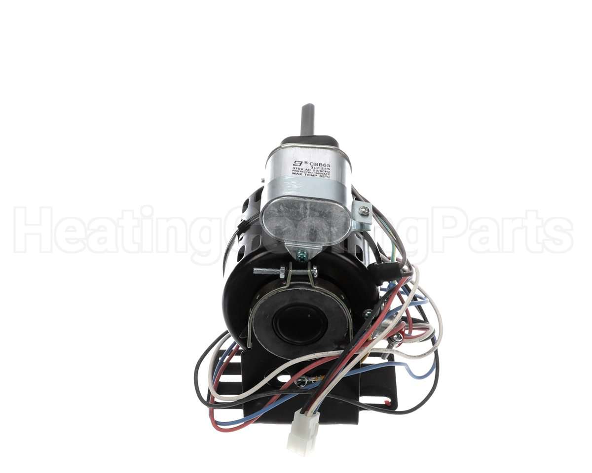 71531202 International Enviromental 120V .025Hp 1Ph Motor