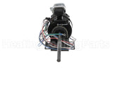 71531202 International Enviromental 120V .025Hp 1Ph Motor
