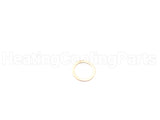 7760514 Warrick-Gems Sensors & Controls Copper Washer For 3B Fittings