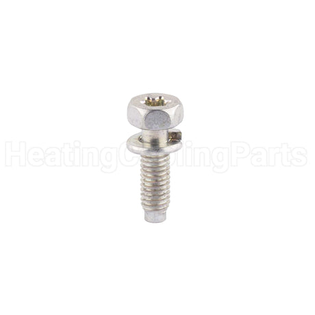 791972 Briggs & Stratton Screw