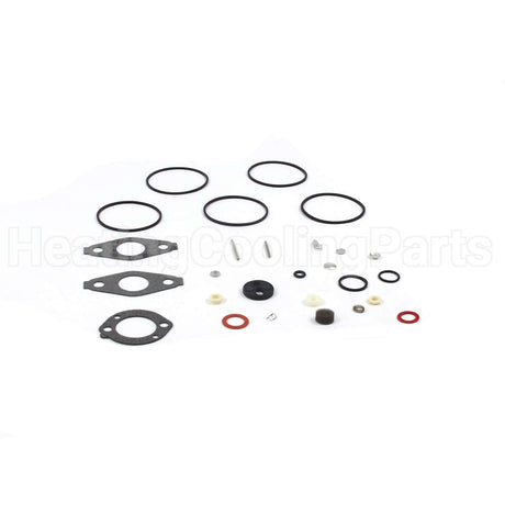 797634 Briggs & Stratton Kit-Carb Overhaul