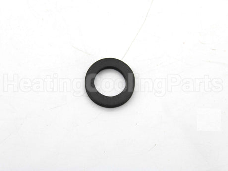 800014B Raypak Gasket Kit