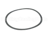 806050-000 Armstrong 4.75" Body Gasket