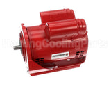 811757-001 Armstrong Fluid Technology 115/208-230V 1/2Hp 1725Rpm Mtr