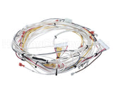 81W67 Lennox Wireharness J111-J113