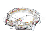 81W67 Lennox Wireharness J111-J113