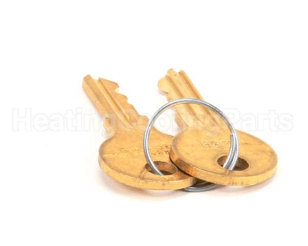 831307 TRUE Key, 1289, (Set Of 2) Gdm, Tmc