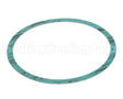 8426401-002 Armstrong 6" Casinig Gasket