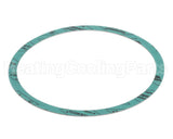 8426401-002 Armstrong 6" Casinig Gasket