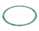 8426401-002 Armstrong 6" Casinig Gasket
