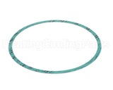 8426401-003 Armstrong Fluid Technology 8" Nitrile Casing Gasket