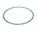 8426401-003 Armstrong Fluid Technology 8" Nitrile Casing Gasket
