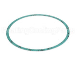 8426401-003 Armstrong Fluid Technology 8" Nitrile Casing Gasket