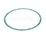 8426401-003 Armstrong Fluid Technology 8" Nitrile Casing Gasket