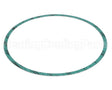 8426401-004 Armstrong Fluid Technology Gasket-Casing 10"