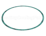 8426401-004 Armstrong Fluid Technology Gasket-Casing 10"