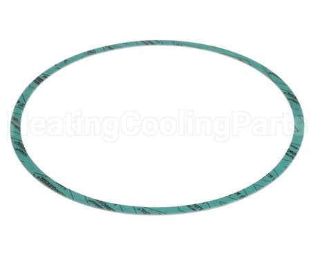 8426401-004 Armstrong Fluid Technology Gasket-Casing 10"