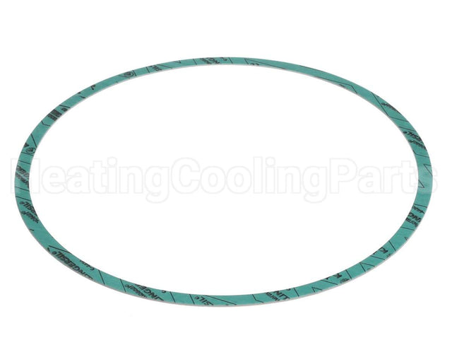 8426401-004 Armstrong Fluid Technology Gasket-Casing 10"