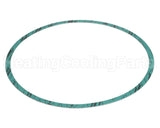 8426401-004 Armstrong Fluid Technology Gasket-Casing 10"