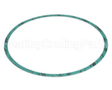8426401-004 Armstrong Fluid Technology Gasket-Casing 10"