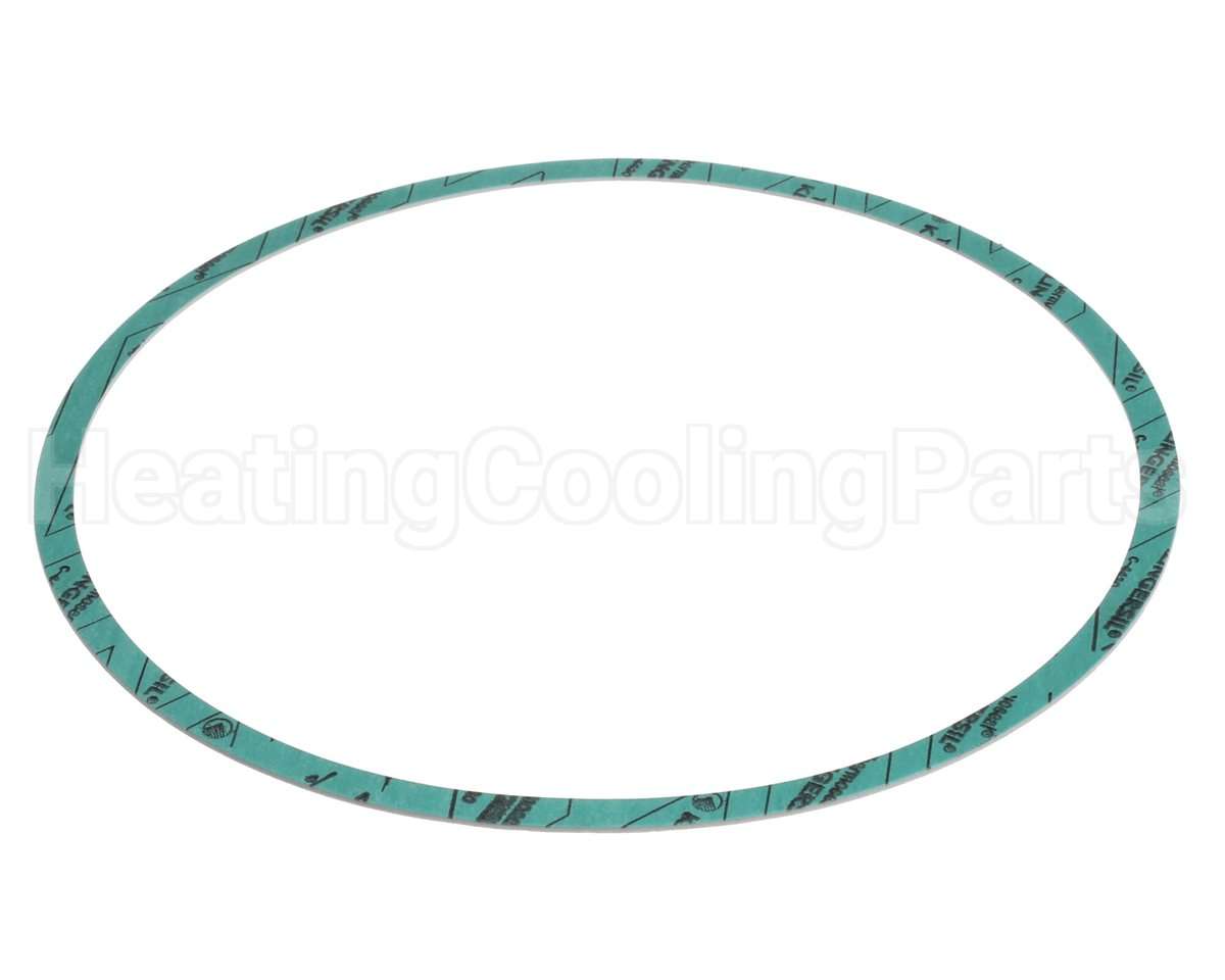 8426401-004 Armstrong Fluid Technology Gasket-Casing 10"