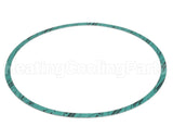 8426401-004 Armstrong Fluid Technology Gasket-Casing 10"