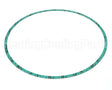 8426401-005 Armstrong Fluid Technology 13" Nitrile Gasket
