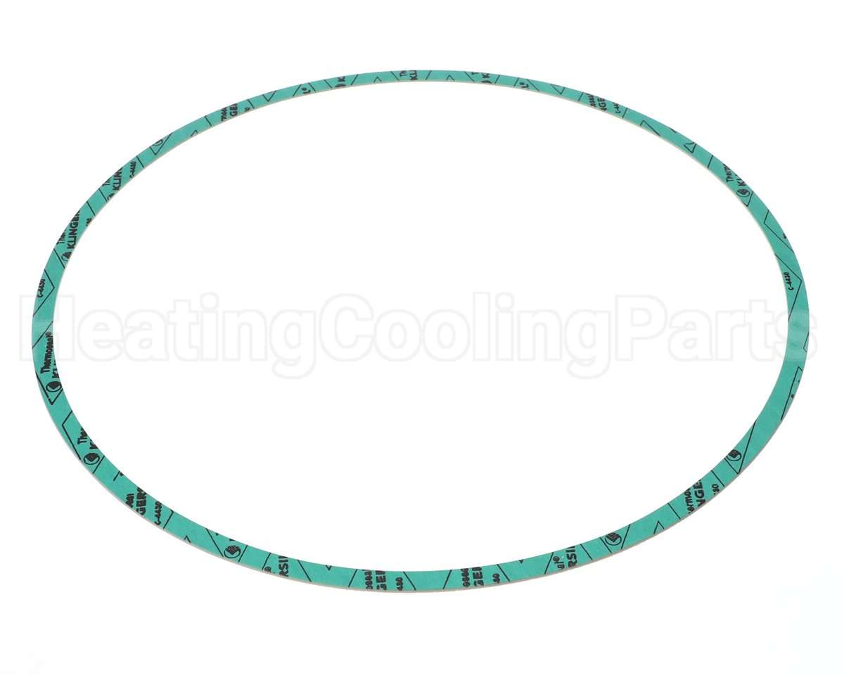 8426401-005 Armstrong Fluid Technology 13" Nitrile Gasket