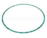 8426401-005 Armstrong Fluid Technology 13" Nitrile Gasket