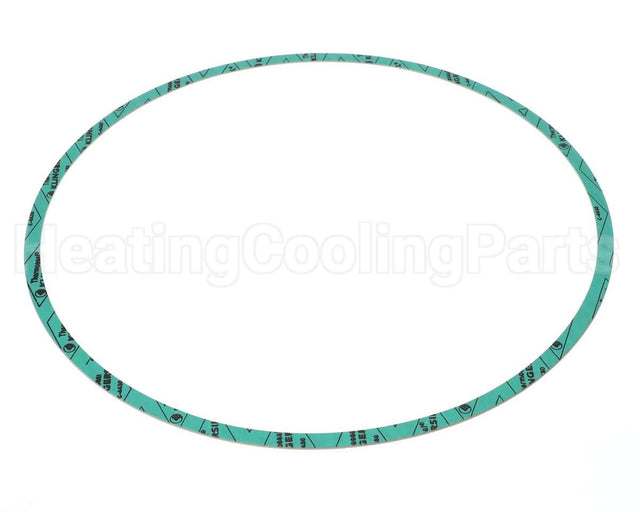 8426401-005 Armstrong Fluid Technology 13" Nitrile Gasket