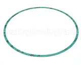 8426401-005 Armstrong Fluid Technology 13" Nitrile Gasket