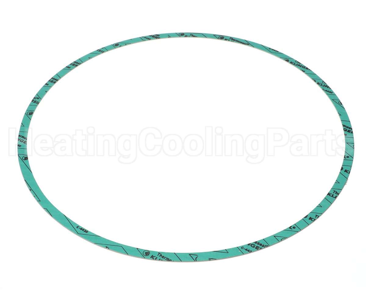 8426401-005 Armstrong Fluid Technology 13" Nitrile Gasket