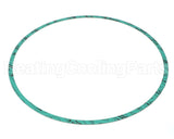 8426401-005 Armstrong Fluid Technology 13" Nitrile Gasket