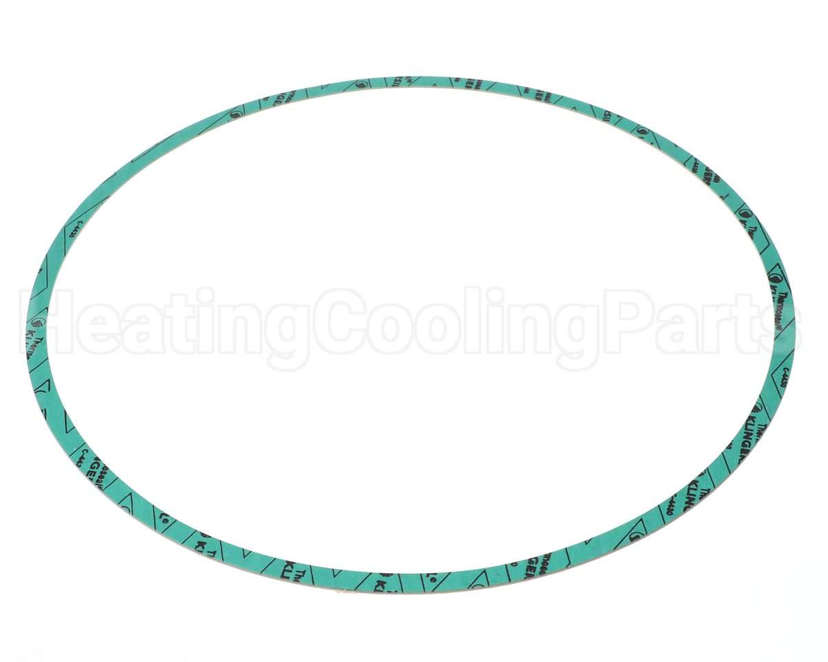 8426401-005 Armstrong Fluid Technology 13" Nitrile Gasket